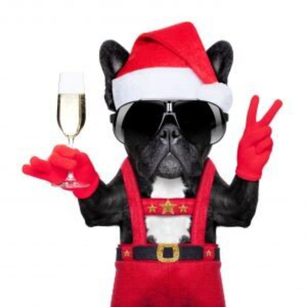 hund_mit_sekt hund_mit_sekt